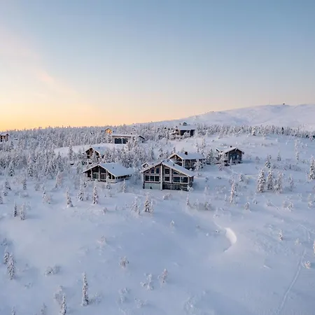 Hideout - Aurora 레비