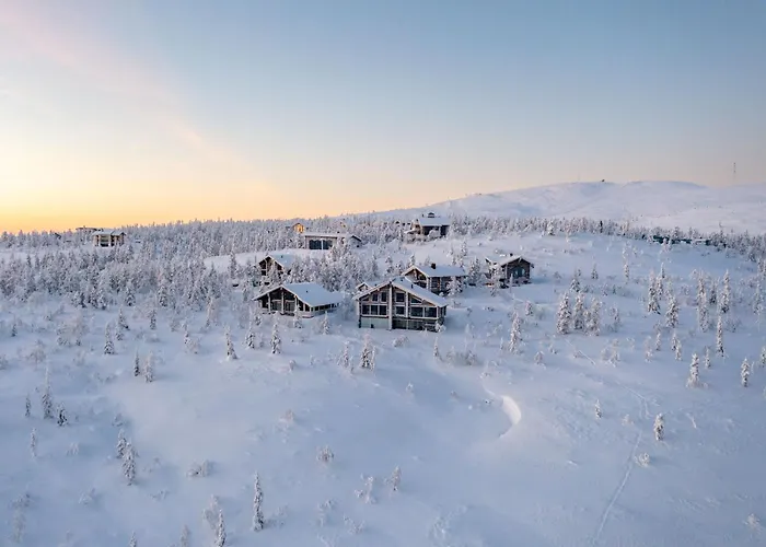 Hideout - Aurora 레비